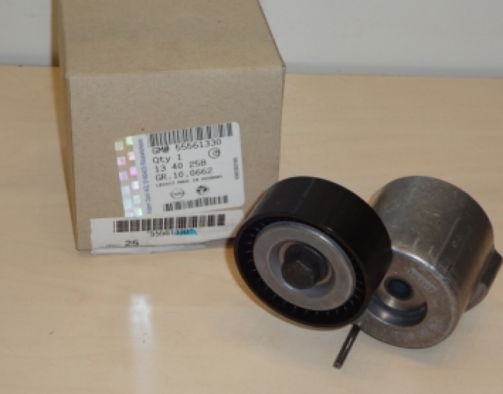 Rola intinzatoare curea de accesorii 1.9 GM